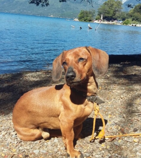 Otto en Lago Mascardi